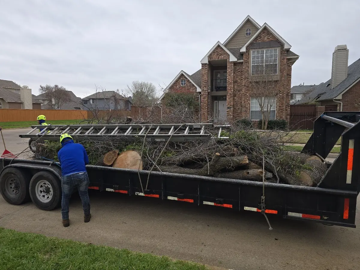 Expert Tree Pest Control with proper safety equipment in Thorp